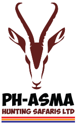Client 3 Logo